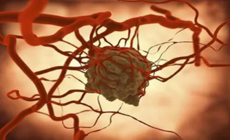 Ӥ��Ѫ����������������,����֢״����Щ��